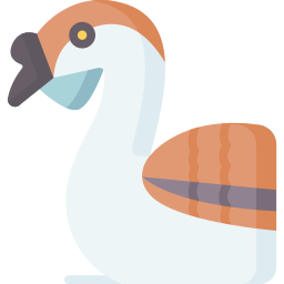 ganso africano icono