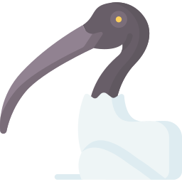 ibis ikona