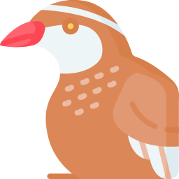 Partridge icon