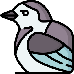 Wagtail icon