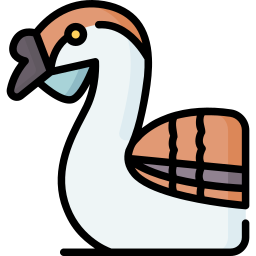 African goose icon