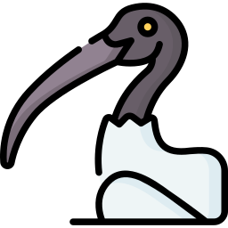 Ibis icon