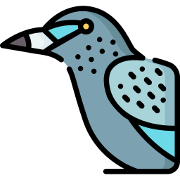 Starling icon