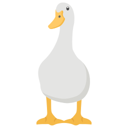 canard Icône