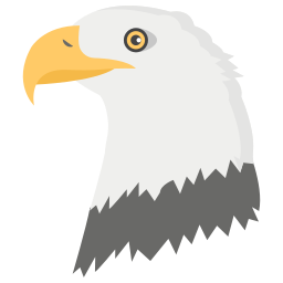 Eagle icon