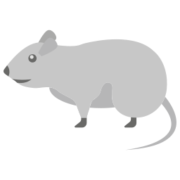 Rat icon