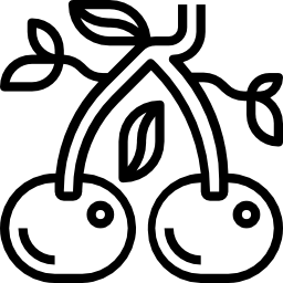 버찌 icon