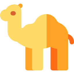 Dromedary icon