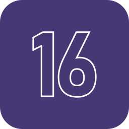 16 icon