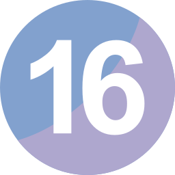 Sixteen icon
