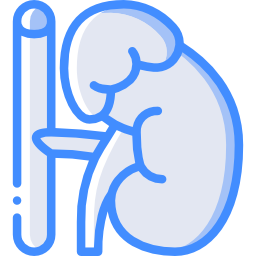 副腎 icon