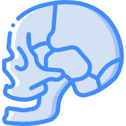 Skull icon