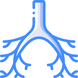 気管支 icon