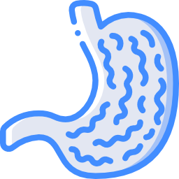 Stomach icon