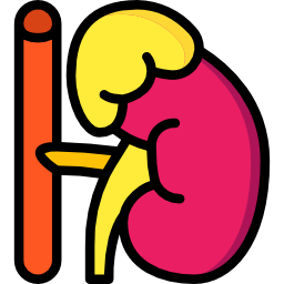 副腎 icon