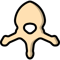 Vertebra icon