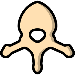 vértebra icono