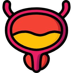 Bladder icon