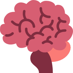 Brain icon