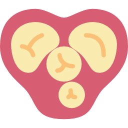 Heart icon