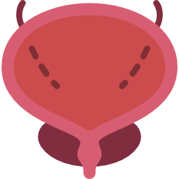 Bladder icon