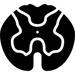 rückenmark icon