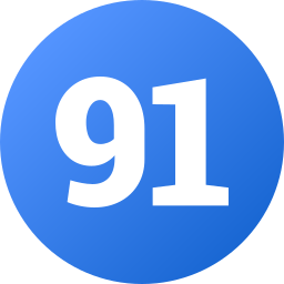 91 Ícone