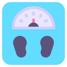 gewichtsskala icon