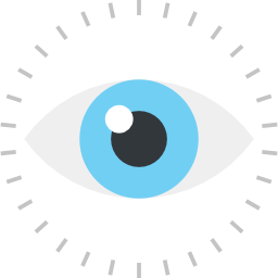 Vision icon