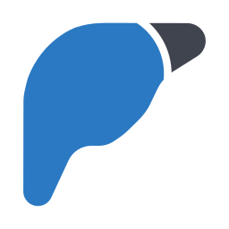 Liver icon