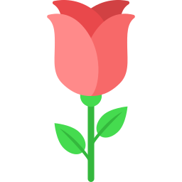 Rose flower icon