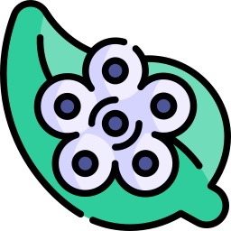 Eggs icon