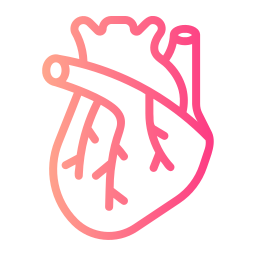 Heart organ icon