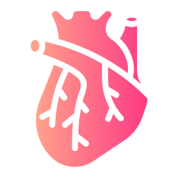 organo cardiaco icona