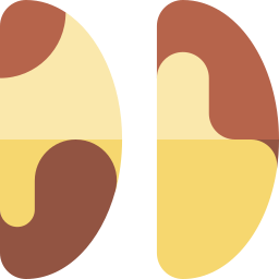 Nuts icon