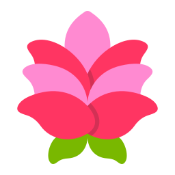 Lotus icon