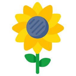 Sunflower icon