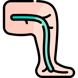 Leg icon