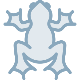 Frog  icon