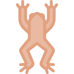 anfibio icono