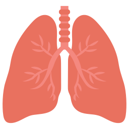 Lungs icon