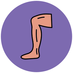 Leg icon