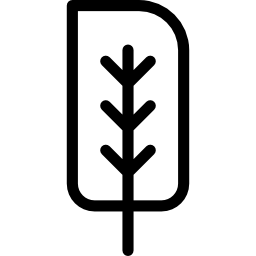 Sorrel icon