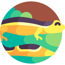salamandra trepadora icono