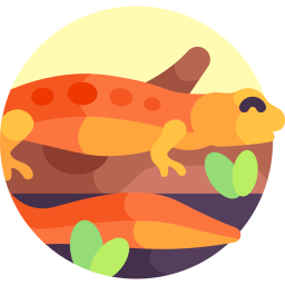 Spotted newt icon