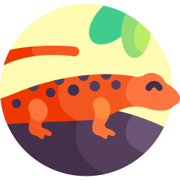 Mud salamander icon