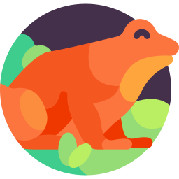 Mantella frog icon