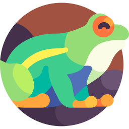 rotäugiger frosch icon