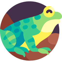 Призрачная лягушка иконка