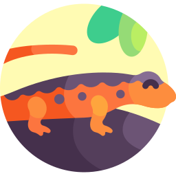 Red salamander icon